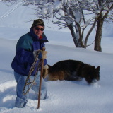 Photo de profil de Jean-François Robbez Masson