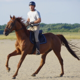 Photo de profil de Laurent Bisson