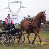 Photo de profil de Beatrice Desbouiges