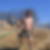 Photo de profil de Frederic Carpe