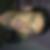 Photo de profil de Eric Benot