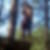 Photo de profil de Sebastien Laurens