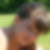 Photo de profil de Lucie Fulcrand