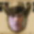 Photo de profil de Franck Dumont