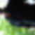 Photo de profil de Jessy Mellet