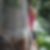 Photo de profil de Bernadette Annette