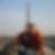 Photo de profil de Pascal Rose