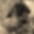 Photo de profil de Daniel Blondeau