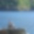 Photo de profil de Thierry Roba