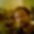Photo de profil de Philippe Begin