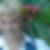 Photo de profil de Lucile Fisnot