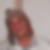 Photo de profil de Herve Denison
