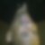 Photo de profil de El Maghrani Abdessamad