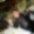 Photo de profil de Laurence Morel