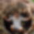 Photo de profil de Pierre Guillaume