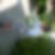 Photo de profil de Liliane Blin