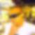 Photo de profil de Mickael Gomes