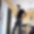 Photo de profil de Frederic Ancelin