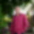 Photo de profil de Yves Dagonneau