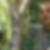 Photo de profil de Sébastien Mazabraud