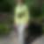 Photo de profil de Claude Quint