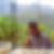 Photo de profil de Sebastien Harold