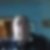 Photo de profil de Roger Sutter 