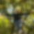 Photo de profil de Pascal Nenon