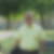 Photo de profil de Pascal Huet