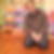 Photo de profil de Karim Chouieb
