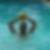 Photo de profil de Sebastien Raible