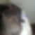 Photo de profil de Emmanuel Tinguely