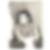 Photo de profil de Robert Turpin