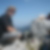 Photo de profil de Jeff Dubarle