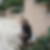 Photo de profil de Dina Charif
