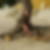 Photo de profil de Sandy Naud