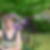 Photo de profil de Brigitte Neveu