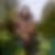 Photo de profil de Margot Dupuy