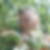 Photo de profil de Flora Coïc