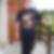 Photo de profil de Nadine Prin