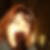 Photo de profil de Severine Prince