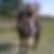 Photo de profil de Lucie Boils