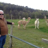 Photo de profil de Jean-Pierre Robin