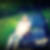 Photo de profil de Alexis Phelizon