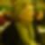 Photo de profil de Helene Laville
