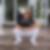 Photo de profil de Guillaume Brazier