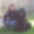 Photo de profil de Bernard Taulou