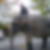 Photo de profil de Elvis Rech