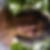 Photo de profil de Christiane Mine