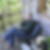 Photo de profil de Denis Choquet